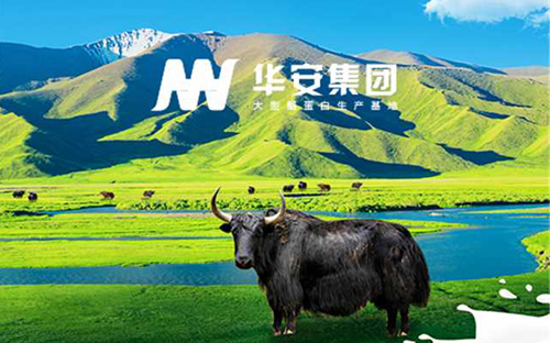 华安集团